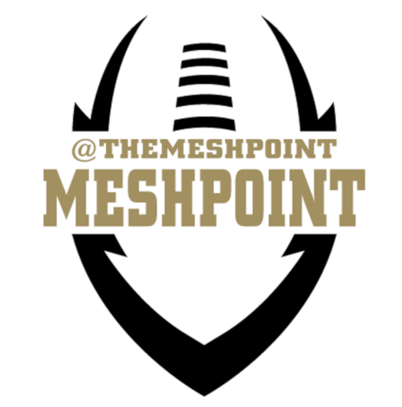 Meshpoint Podcast Season 1 Episode #3 with Rob Zeitman Current Head Football Coach at Jenison High School and former College OL Coach at Kent State and Ferris State